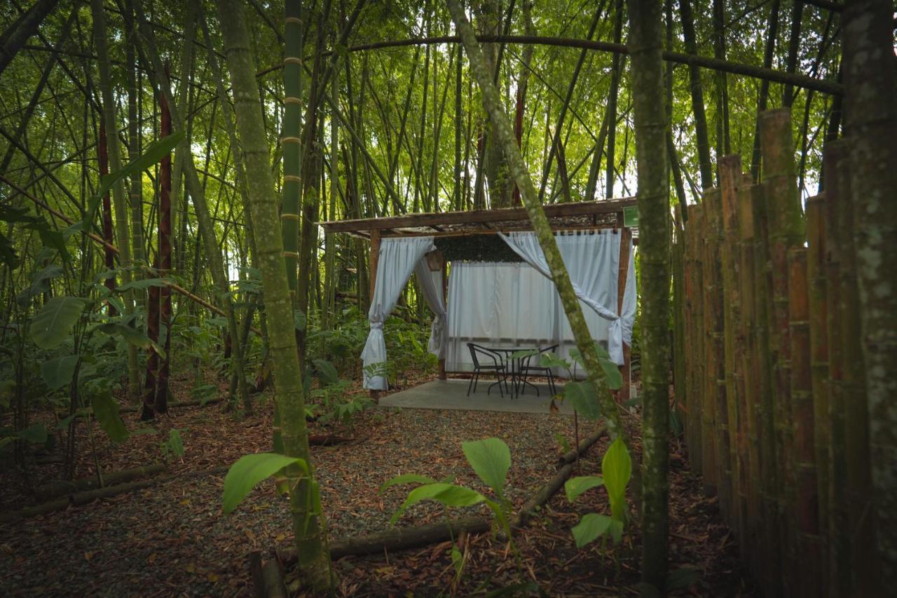 Amanatu Ecolodge & Spa 킴바야 외부 사진