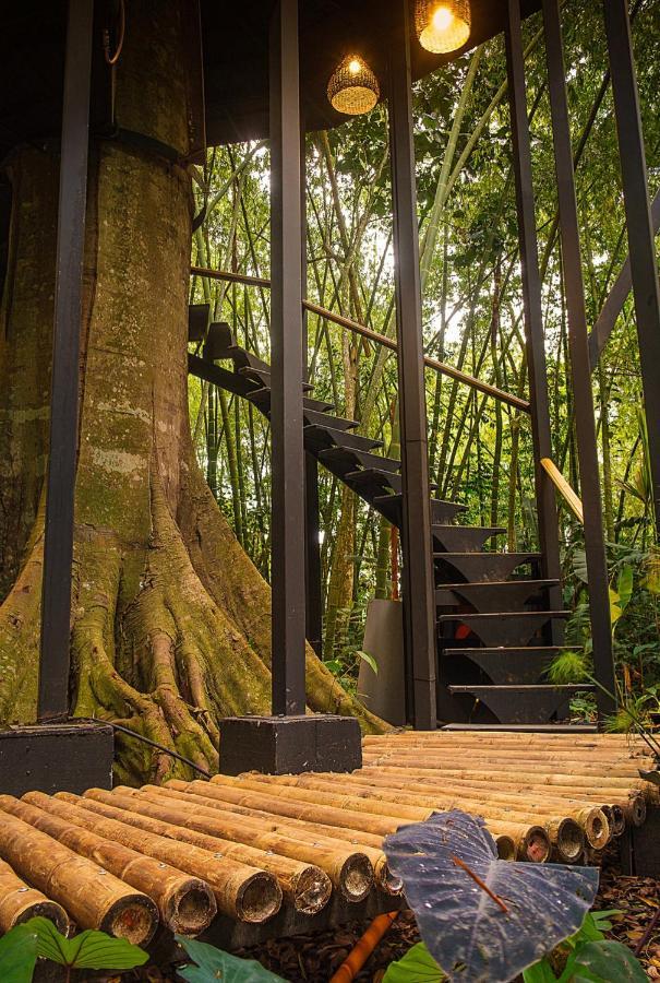 Amanatu Ecolodge & Spa 킴바야 외부 사진