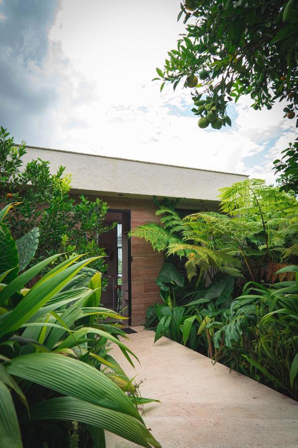 Amanatu Ecolodge & Spa 킴바야 외부 사진